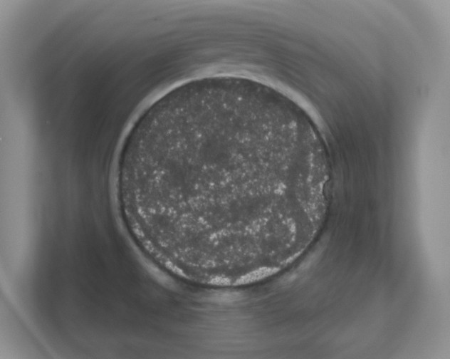 X0000111051525200907231545