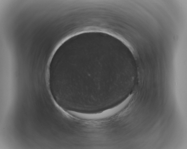 X0000111051527200907231545