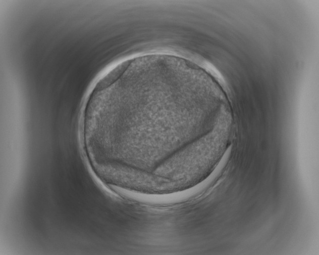 X0000111051528200907231545