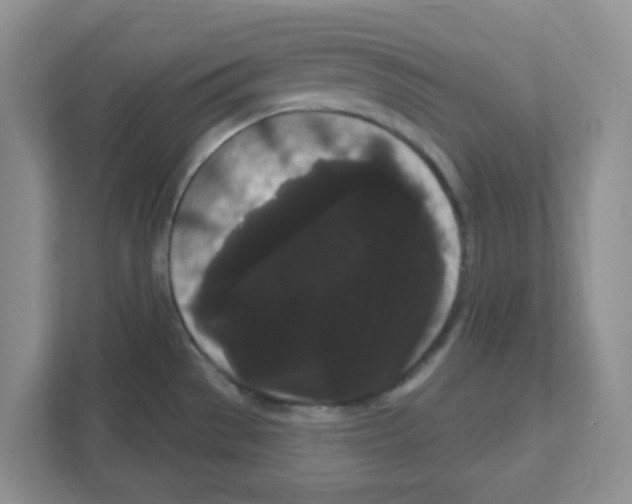 X0000111051529200907231545