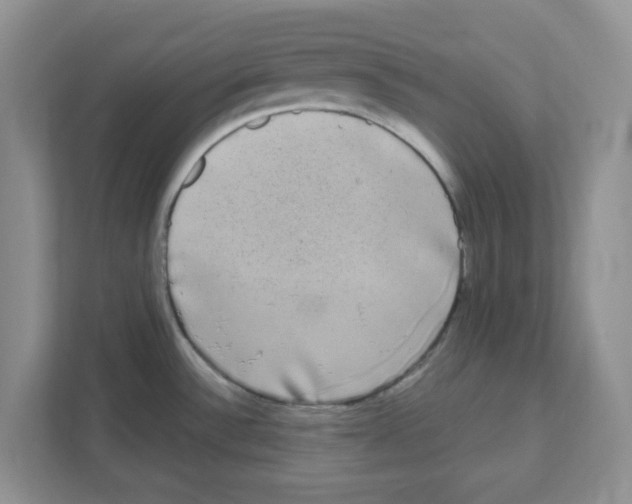 X0000111051532200907231545