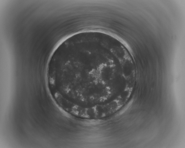 X0000111051533200907231545