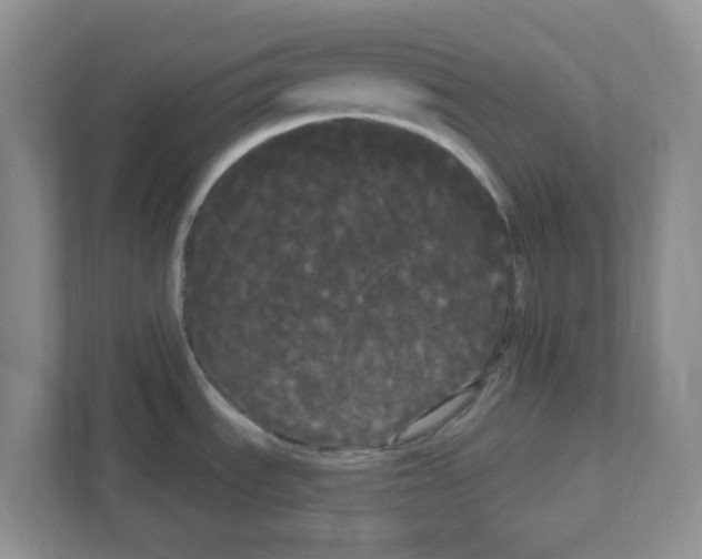 X0000111051535200907231545