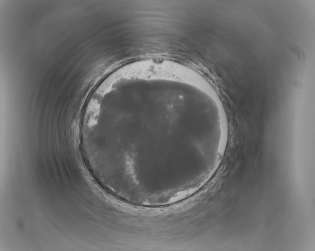 X0000111050002200908061527