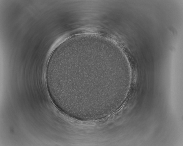 X0000111050004200908061527