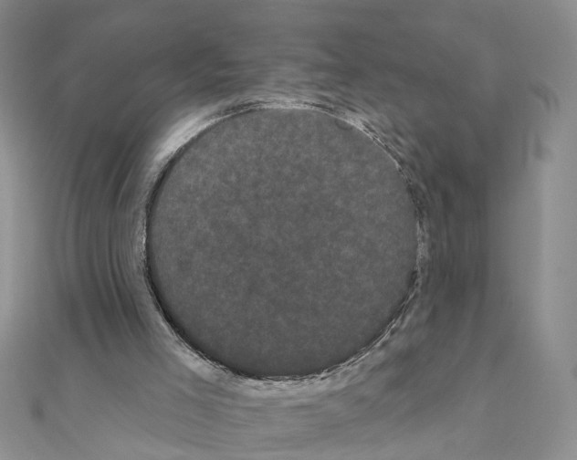 X0000111050005200908061527