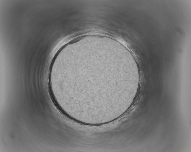 X0000111050007200908061527