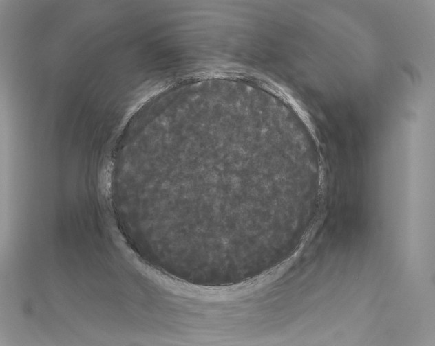 X0000111050010200908061527