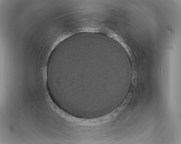 X0000111050011200908061527