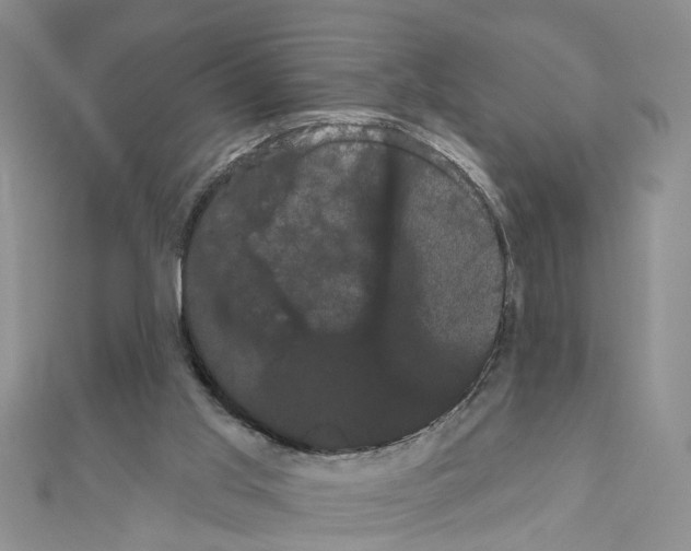 X0000111050013200908061527