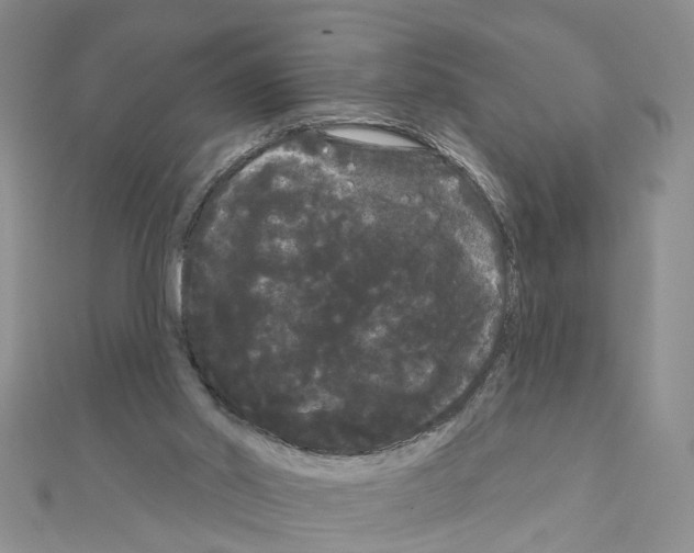 X0000111050014200908061527