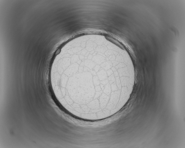 X0000111050015200908061527