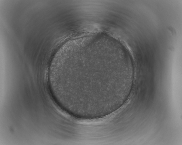 X0000111050017200908061527