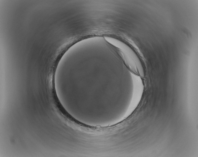 X0000111050019200908061527