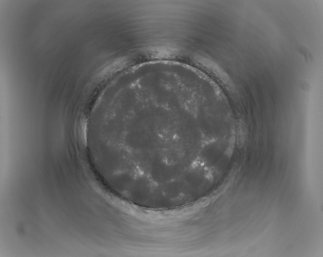 X0000111050022200908061527