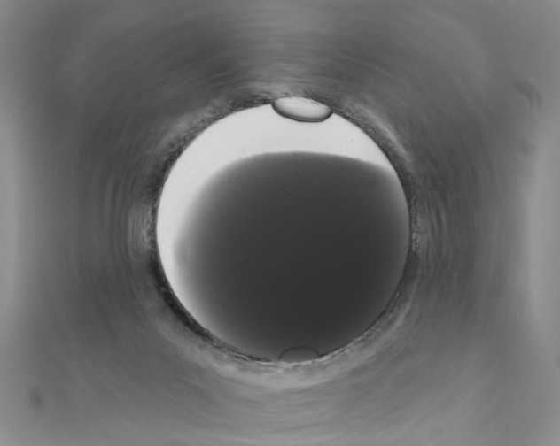 X0000111050023200908061527