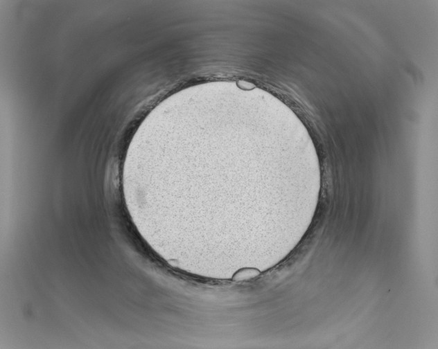 X0000111050024200908061527