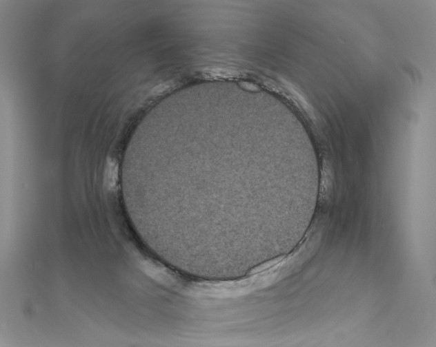 X0000111050025200908061527