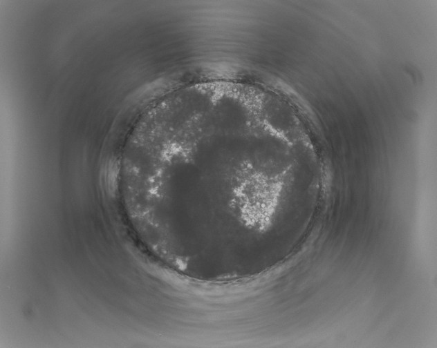 X0000111050026200908061527