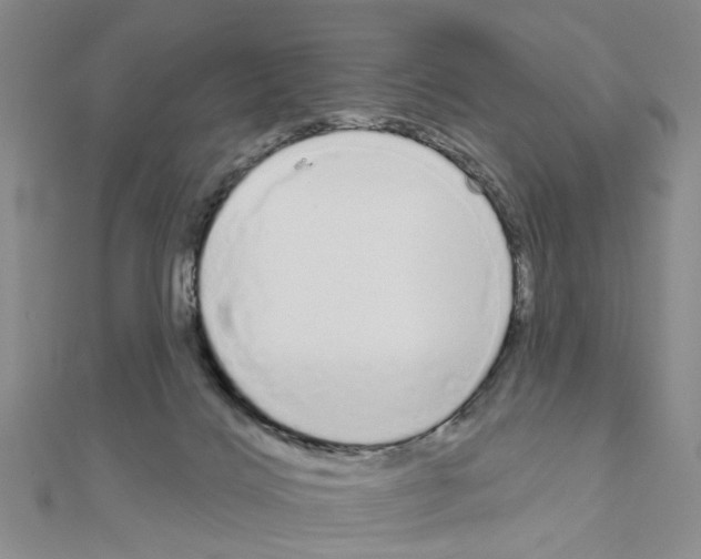 X0000111050028200908061527