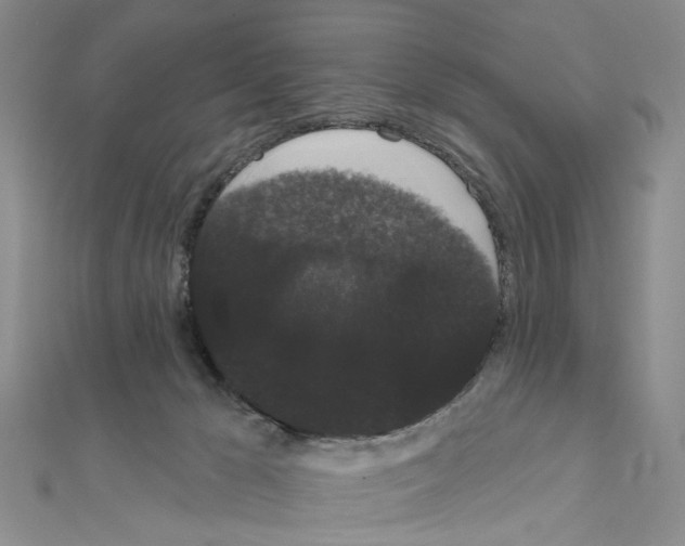 X0000111050029200908061527