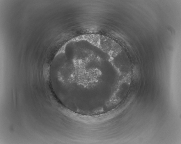 X0000111050030200908061527