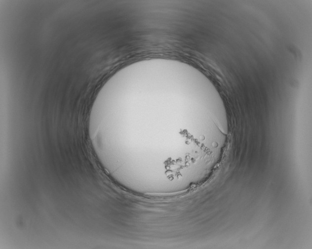 X0000111050033200908061527