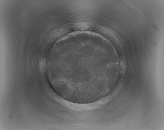 X0000111050034200908061527