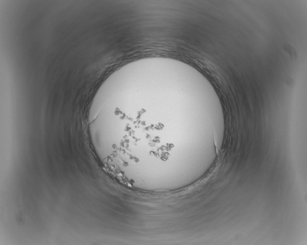 X0000111050037200908061527