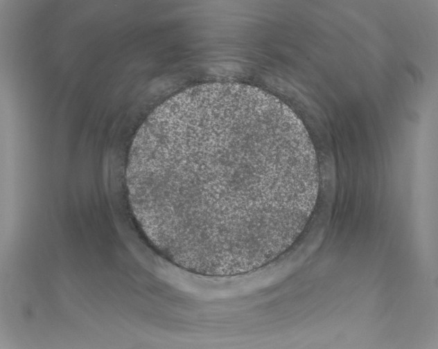 X0000111050038200908061527