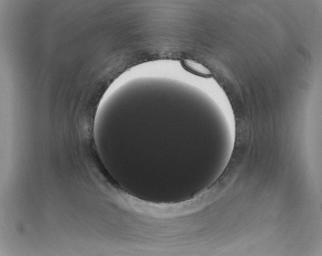 X0000111050039200908061527