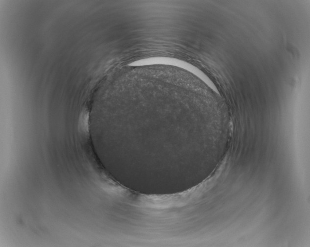 X0000111050041200908061527