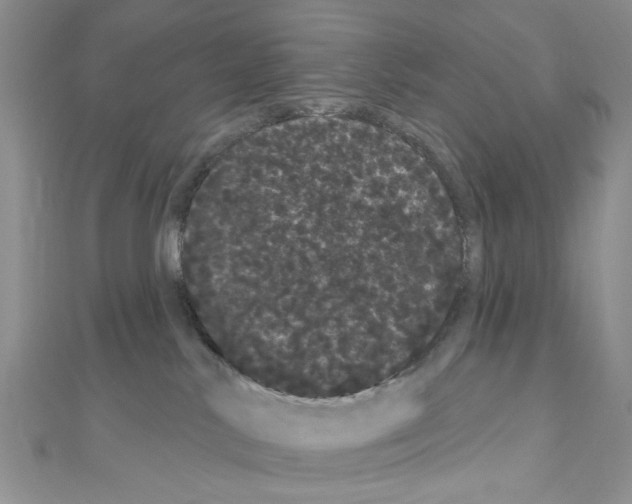 X0000111050042200908061527