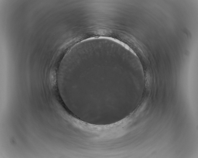 X0000111050043200908061527