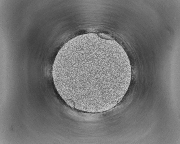 X0000111050044200908061527