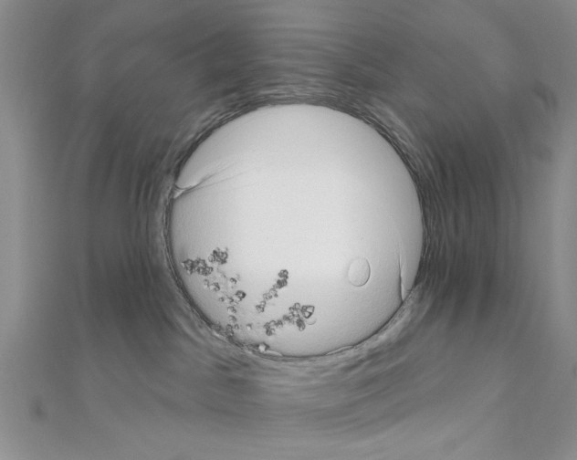 X0000111050045200908061527