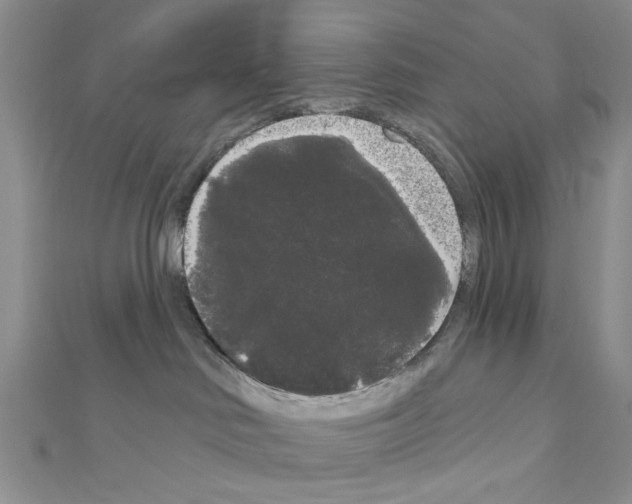 X0000111050046200908061527