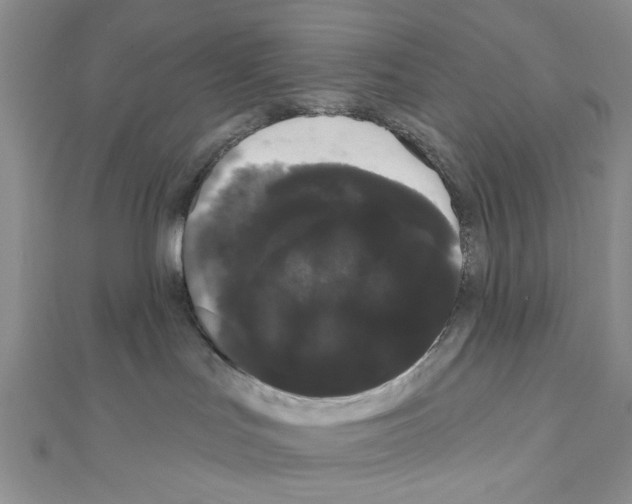 X0000111050047200908061527