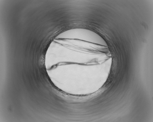 X0000111050048200908061527