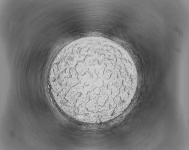 X0000111050049200908061526