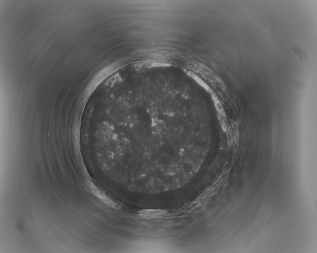 X0000111050051200908061526