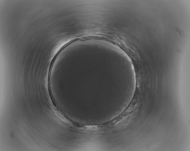 X0000111050052200908061526