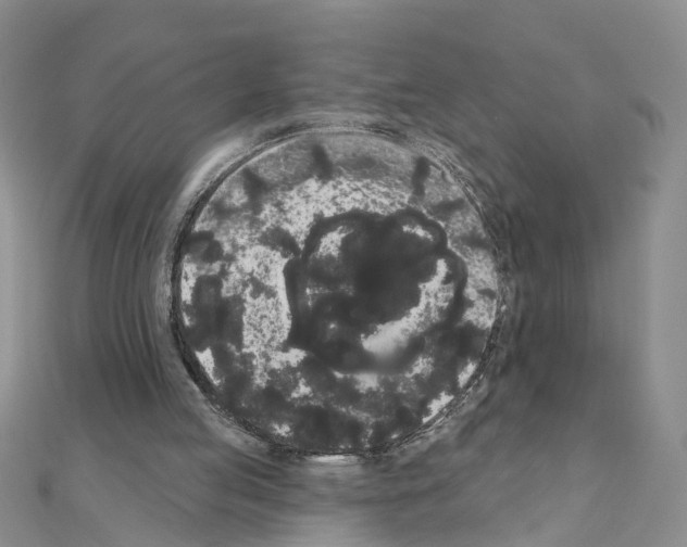 X0000111050053200908061526