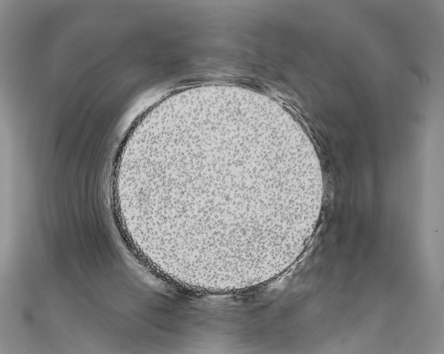 X0000111050054200908061526