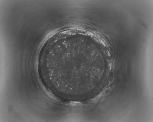 X0000111050055200908061526