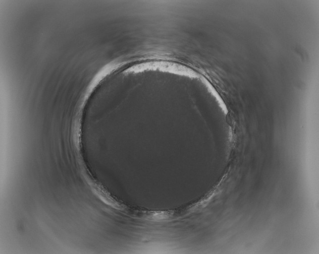 X0000111050056200908061526