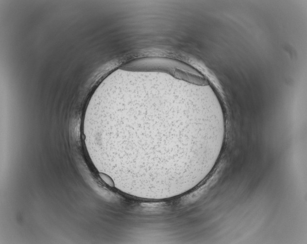 X0000111050057200908061526