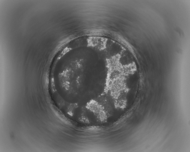 X0000111050059200908061526