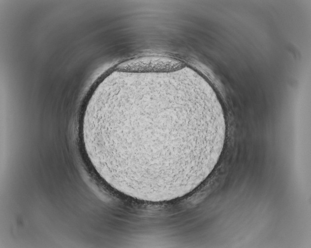 X0000111050060200908061526