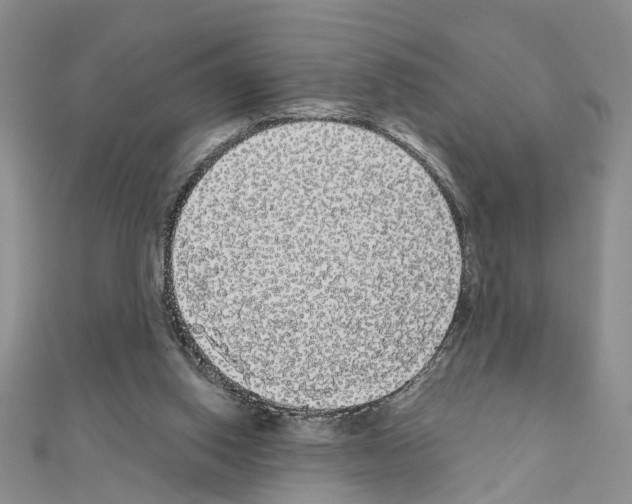 X0000111050062200908061526